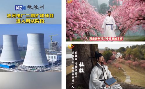 池州市传媒中心社会责任报告